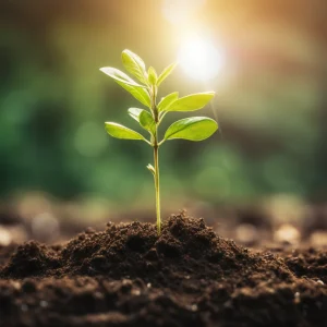 Investment Strategies for Long - Term Wealth - Growth Investing